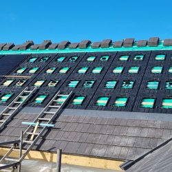 TIGER NEO PANELS WITH GSE IN ROOF ON TILES